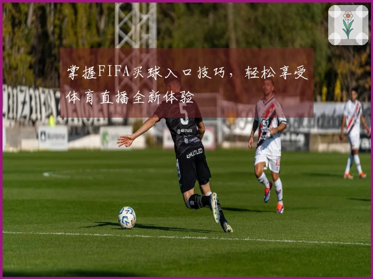 掌握FIFA买球入口技巧，轻松享受体育直播全新体验
