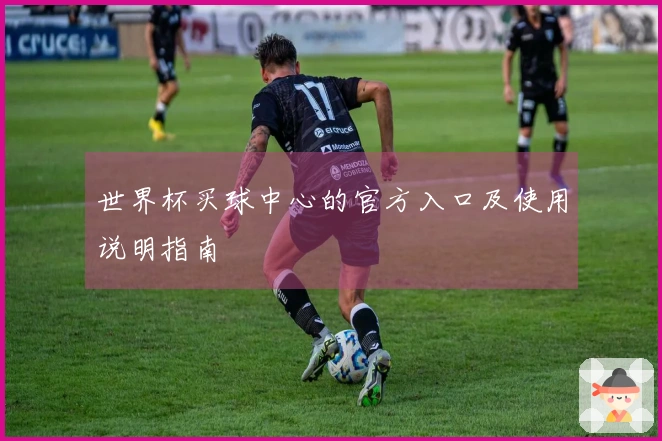 世界杯买球中心的官方入口及使用说明指南