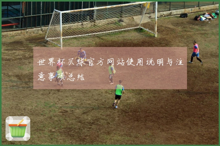 世界杯买球官方网站使用说明与注意事项总结