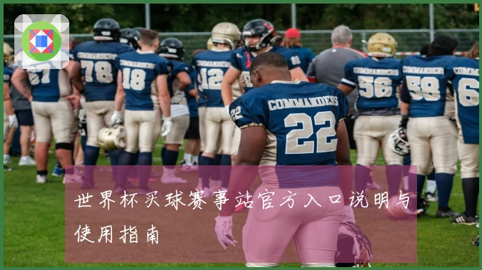 世界杯买球赛事站官方入口说明与使用指南