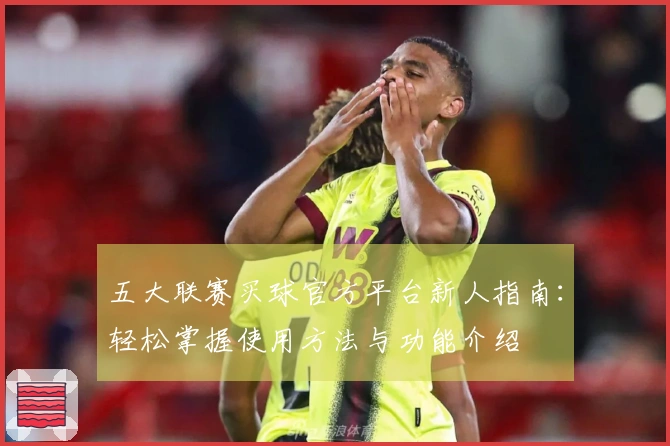 五大联赛买球官方平台新人指南：轻松掌握使用方法与功能介绍