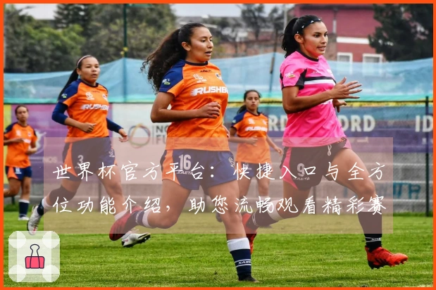 世界杯官方平台：快捷入口与全方位功能介绍，助您流畅观看精彩赛事