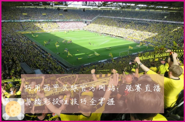 巧用西甲买球官方网站，观赛直播与精彩投注技巧全掌握
