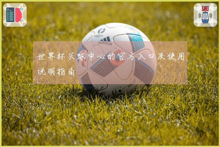 世界杯买球中心的官方入口及使用说明指南