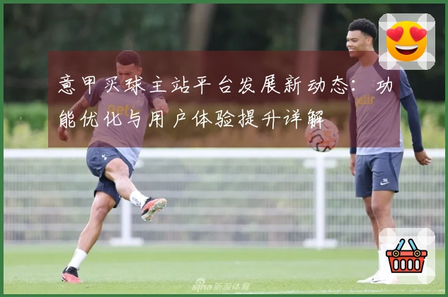 意甲买球主站平台发展新动态:功能优化与用户体验提升详解